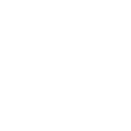 Excel File